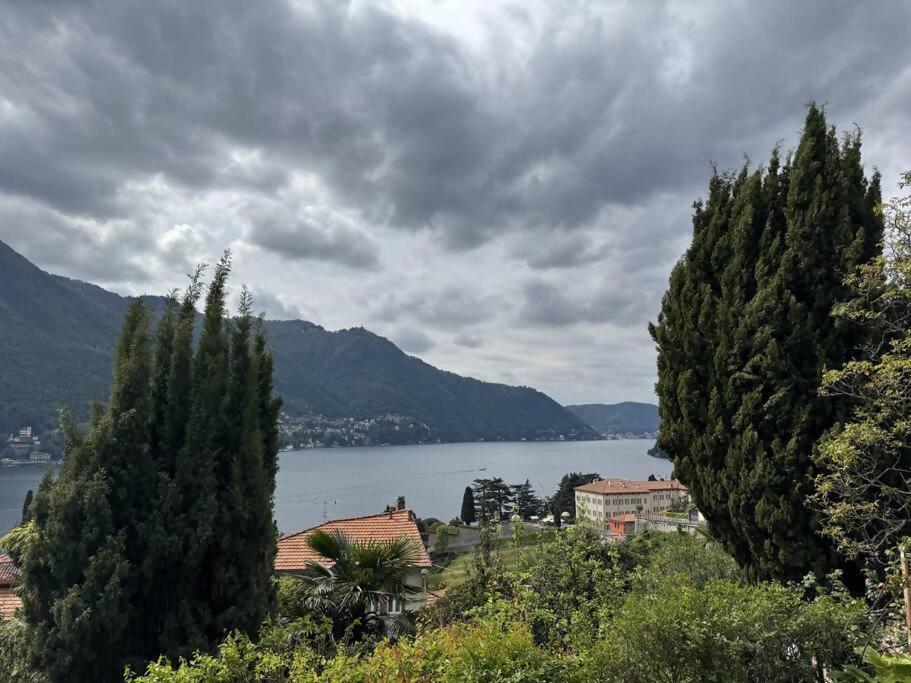 Luxury Luna Apartment Moltrasio