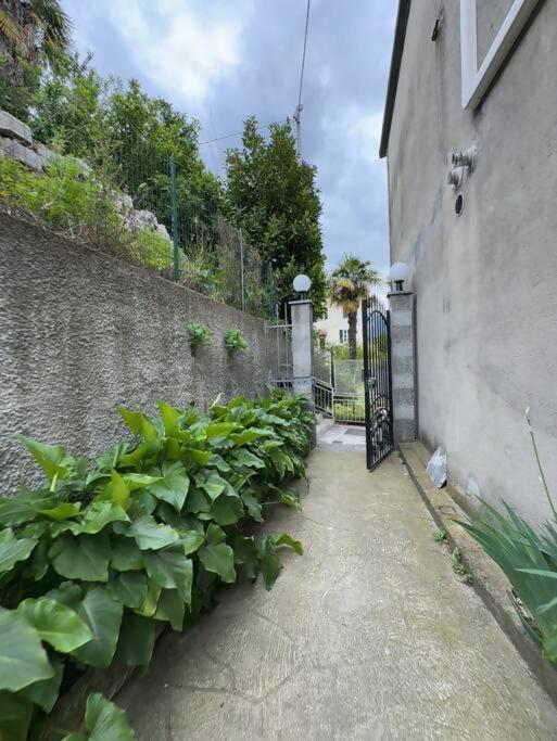 Luxury Luna Apartamento *